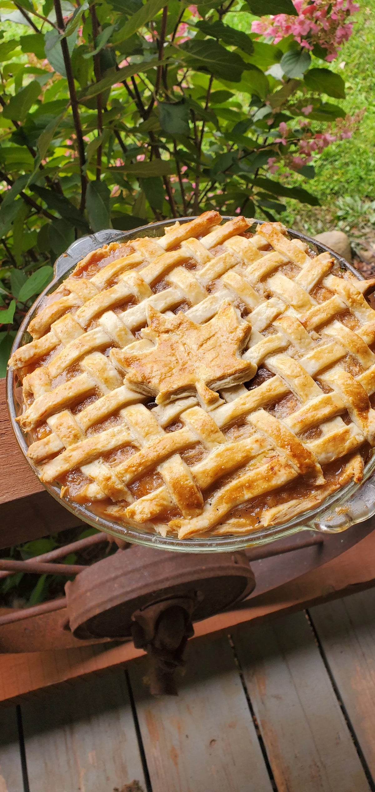 Maple Apple Pie